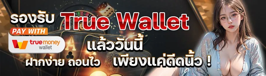 kingston วอเลท